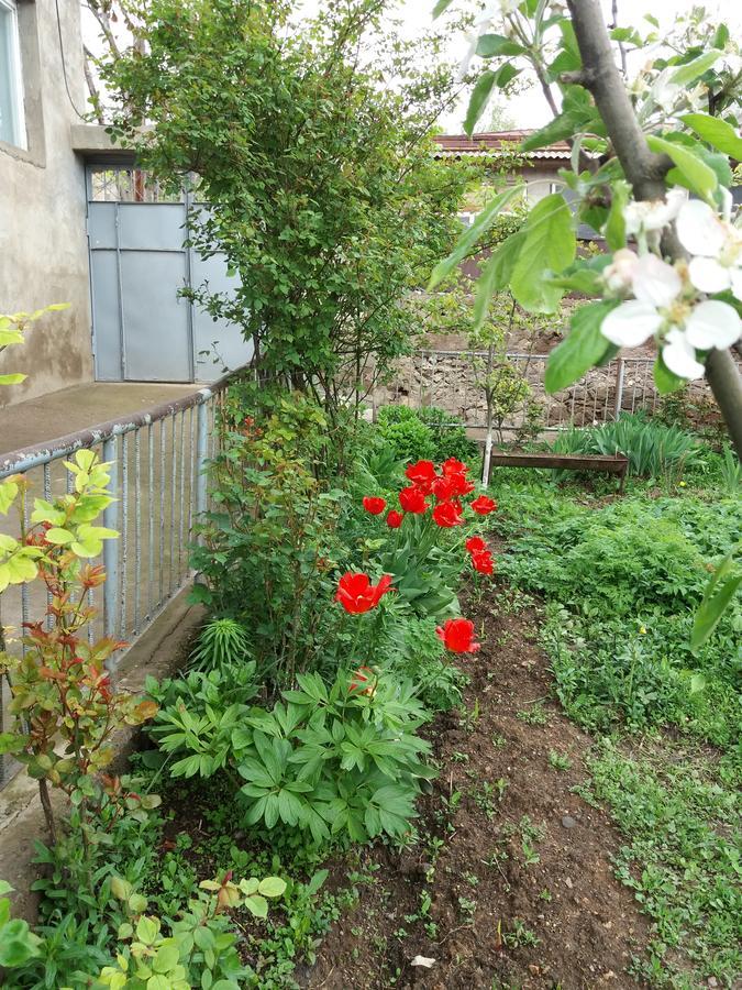 טאטב Aida Bed & Breakfast מראה חיצוני תמונה